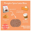 No-bake Pumpkin Spice Latte Bites