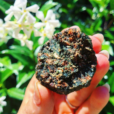 Paleo Blue Algae Energy Bites