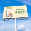 SPROUTS + Creation Nation